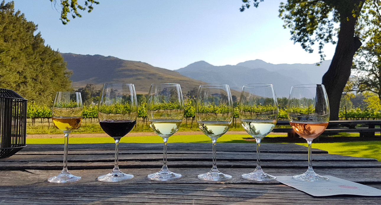 Cape Winelands: A Journey Through South Africa’s Vineyards