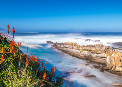 Adventure Awaits: A Guide to South Africa’s Garden Route